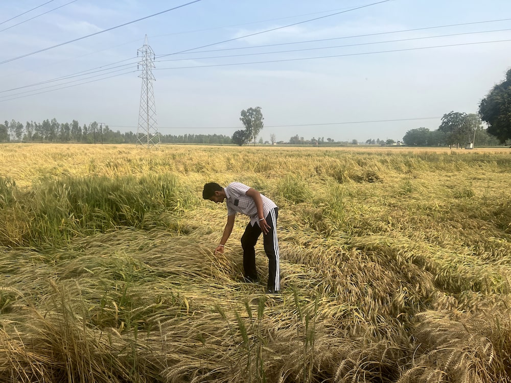 Portrait of farmer Beant Dhande at his farm in Punjab