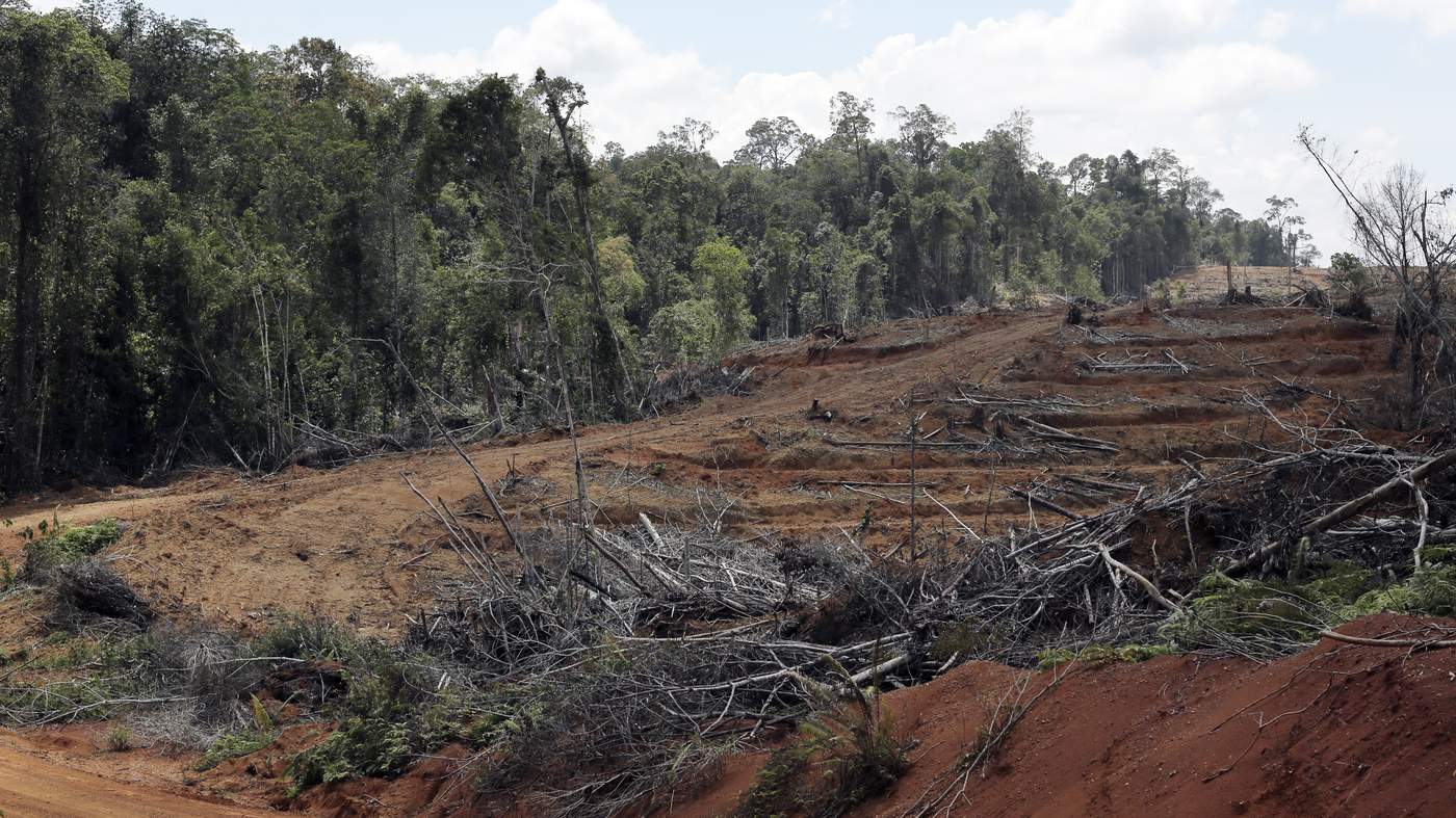 A portrait of deforestation in East Kalimantan, Indonesia