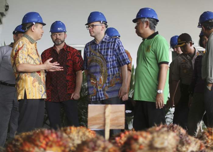 The Norwegian team meet the palm oil producers