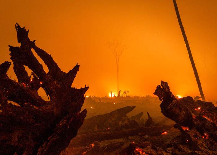 Peat forest burns as an area is cleared for a palm oil plantation. The fires caused smog across south-east Asia last year&amp;nbsp;Getty Images