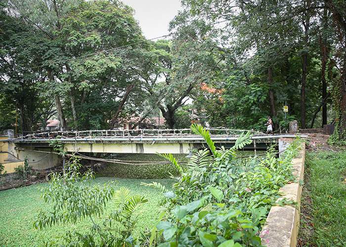 Canals in Alleppey are ideal breeding grounds for mosquitoes carrying the parasites&amp;nbsp;