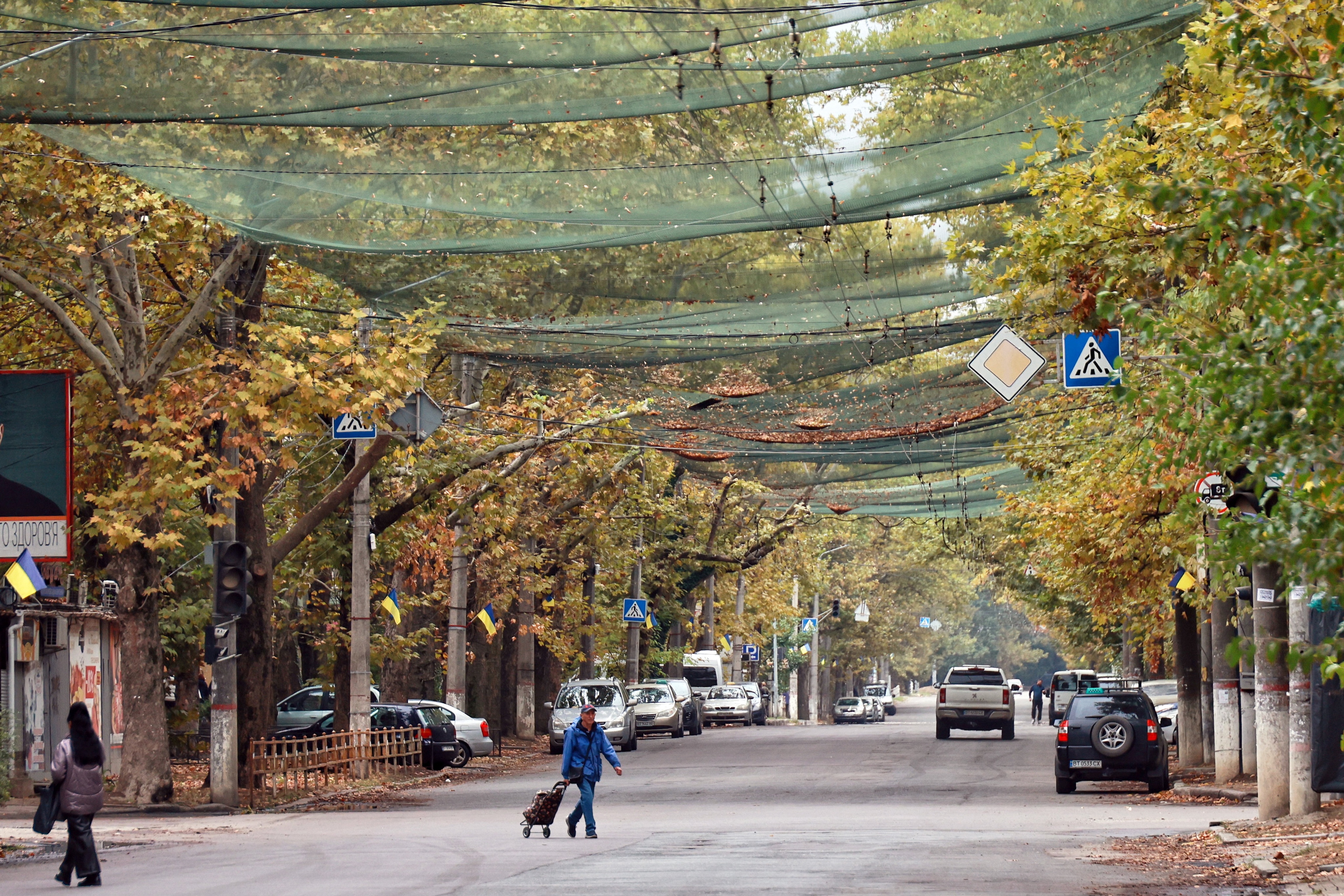 Tree-lined street in autumn with green mesh netting strung overhead, parked cars along the curb and a person crossing while pulling a wheeled shopping trolley.