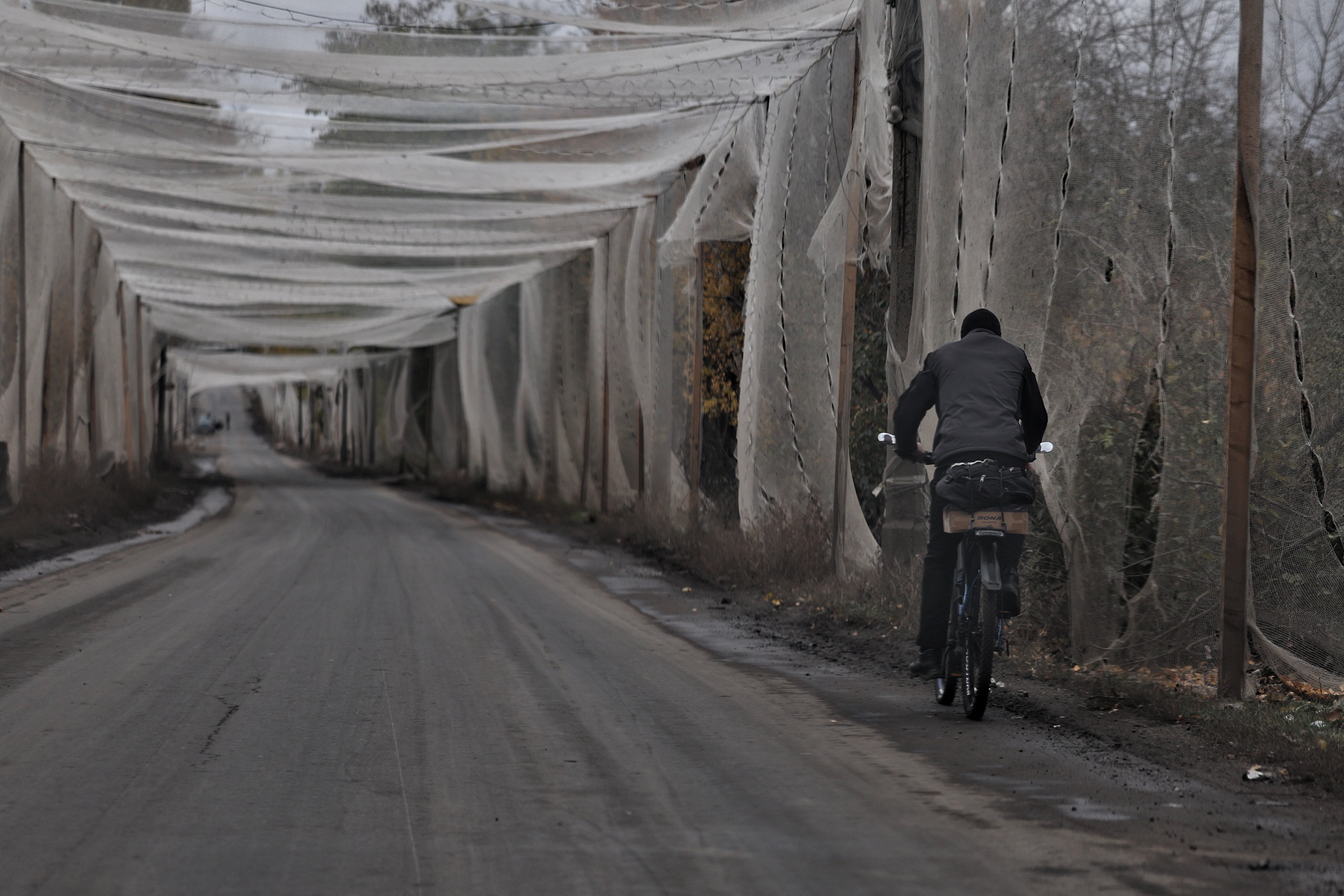 A cyclist rides away from the camera along a muddy road lined and covered by long hanging protective nets.
