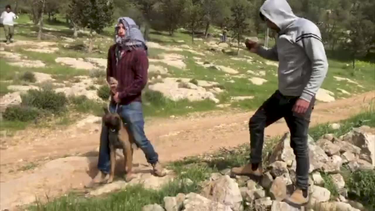 A video showing two men in a confrontation. A man in a grey hooded top is filming the other man, who has a large dog on a leash. The dog bites the man with the grey top on his forearm and he drops his phone.